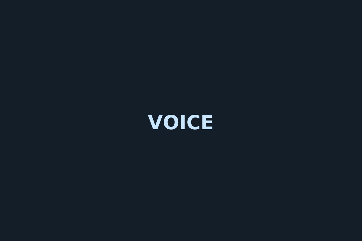 Voice-Server & Bots